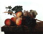 John Johnston Still Life with Fruit fhf painting